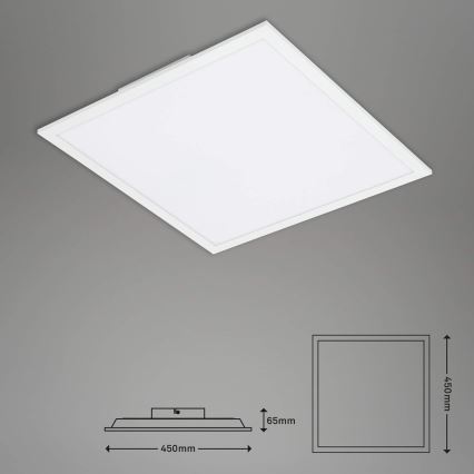 Briloner 7087-016 - LED RGBW Pritemdomas šviestuvas SMART LED/24W/230V 3000-6500K Wi-Fi Tuya + nuotolinio valdymo pultas