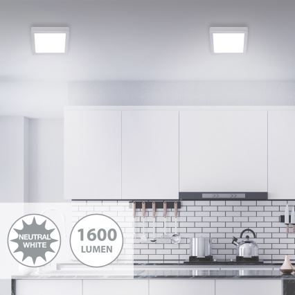 Briloner 7118-414 - LED Lubinis šviestuvas FIRE LED/16,5W/230V 4000K