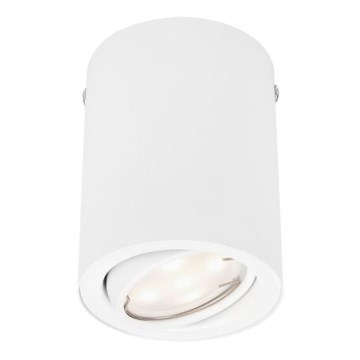 Briloner 7119-016 – LED Akcentinis šviestuvas TUBE 1xGU10/5W/230V apvalus