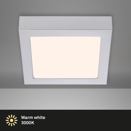 Briloner 7123-014 - LED lubinis šviestuvas FIRE LED/12W/230V 3000K 17x17cm sidabrinis