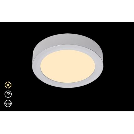 Briloner 7124-014 - LED Reguliuojamas lubinis šviestuvas FIRE LED/12W/230V 3000K