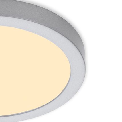 Briloner 7132-014 - LED Vonios lubinis šviestuvas FIRE LED/21W/230V 3000K IP44