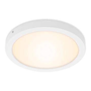 Briloner 7141-016 - LED Lubinis šviestuvas FIRE LED/21W/230V