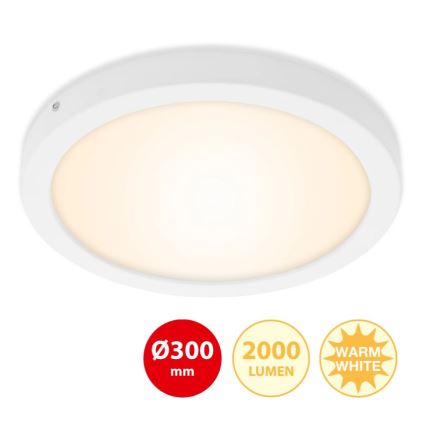 Briloner 7141-016 - LED Lubinis šviestuvas FIRE LED/21W/230V