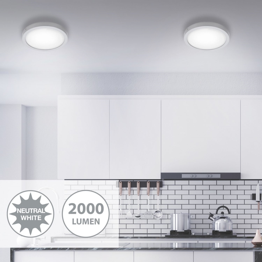 Briloner 7141-414 – LED Lubinis šviestuvas FIRE LED/21W/230V 4000K