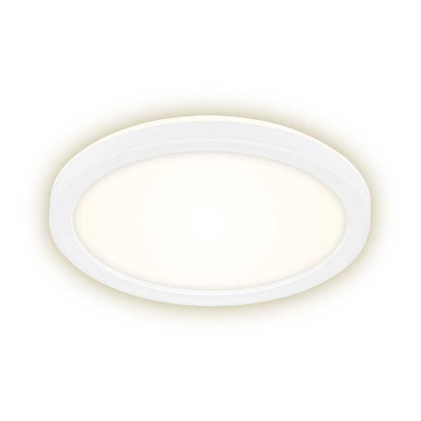 Briloner 7150-416 - LED Lubinis šviestuvas SLIM LED/12W/230V d. 19 cm