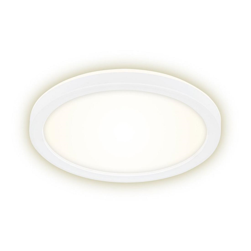 Briloner 7150-416 - LED Lubinis šviestuvas SLIM LED/12W/230V d. 19 cm