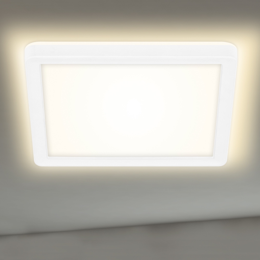 Briloner 7153-416 - LED Lubinis šviestuvas SLIM LED/12W/230V