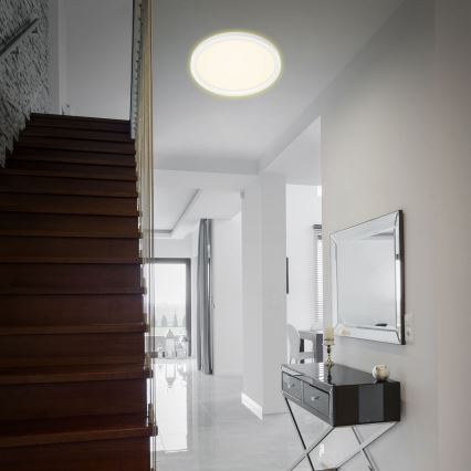 Briloner 7363-016 - LED Lubinis šviestuvas CADRE LED/22W/230V d. 42,5 cm baltas
