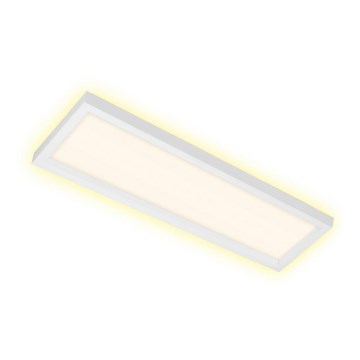 Briloner 7365-016 - LED Lubinis šviestuvas CADRE LED/22W/230V 58,2x20,2 cm baltas