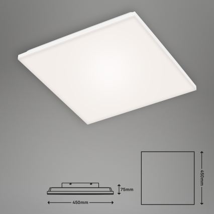 Briloner 7376-116 - LED lubinis šviestuvas FRAMELESS LED/24W/230V