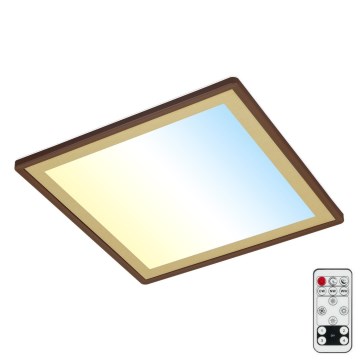 Briloner 7459-417 - LED Pritemdomas lubinis šviestuvas DECO LED/24W/230V 2700-6500K + nuotolinio valdymo pultas