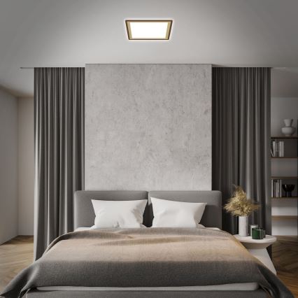 Briloner 7459-417 - LED Pritemdomas lubinis šviestuvas DECO LED/24W/230V 2700-6500K + nuotolinio valdymo pultas