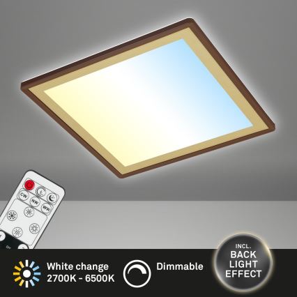 Briloner 7459-417 - LED Pritemdomas lubinis šviestuvas DECO LED/24W/230V 2700-6500K + nuotolinio valdymo pultas