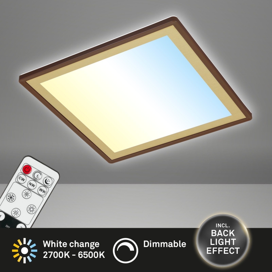 Briloner 7459-417 - LED Pritemdomas lubinis šviestuvas DECO LED/24W/230V 2700-6500K + nuotolinio valdymo pultas