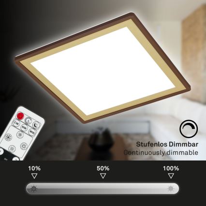 Briloner 7459-417 - LED Pritemdomas lubinis šviestuvas DECO LED/24W/230V 2700-6500K + nuotolinio valdymo pultas