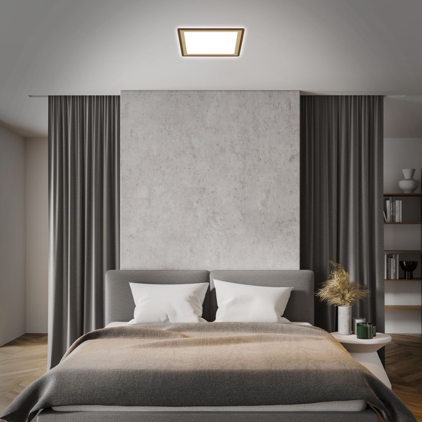 Briloner 7459-417 - LED reguliuojamas lubų šviestuvas DECO LED/24W/230V 2700-6500K + nuotolinio valdymo pultas
