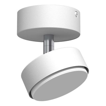 Brosline - Kryptinis šviestuvas 1xGX53/9W/230V baltas