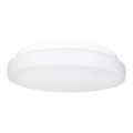ByRydens - Vonios kambario lubų šviestuvas OCEAN 1xE27/40W/230V IP44 Ø 25 cm