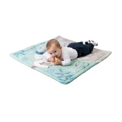 Chicco - Vaikiška antklodė žaidimui 2in1 3xAAA pelėda