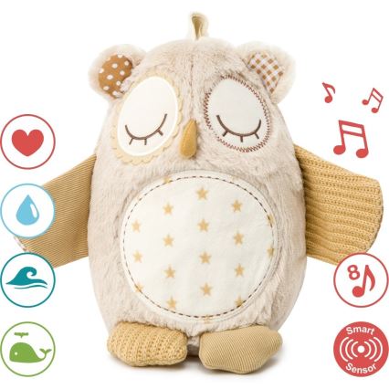 Cloud B - Snuggle buddy su melodija 2xAA pelėda