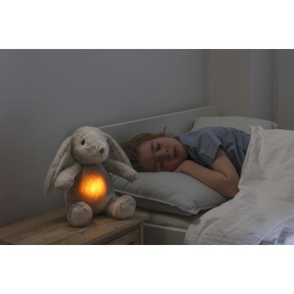 Cloud B - Snuggle buddy su melodija ir šviesa zuikis + USB