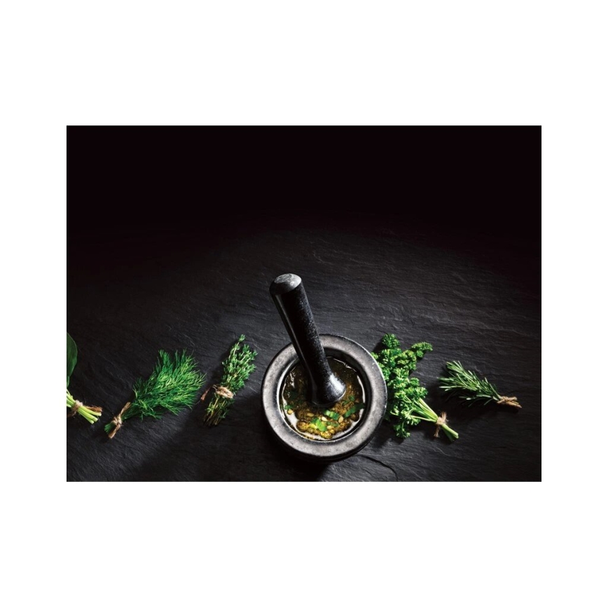 Cole&Mason - Granito skiedinys su grūstuvu GRANITE diametras 14 cm granito/juoda