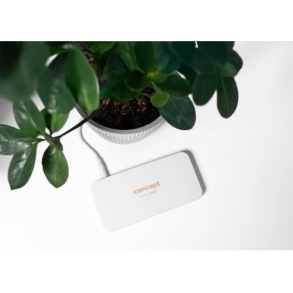 Concept KZ2010 - LED kišeninis kosmetinis veidrodėlis PERFECT SKIN LED/1,5W/5V 4500-5500K 300 mAh balta