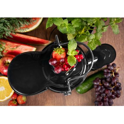 Concept LO7095 - Centrifuginė sulčiaspaudė 1000W/230V juoda/nerūdijančio plieno