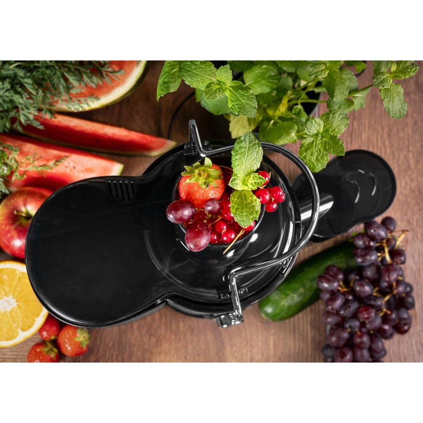 Concept LO7095 - Centrifuginė sulčiaspaudė 1000W/230V juoda/nerūdijančio plieno