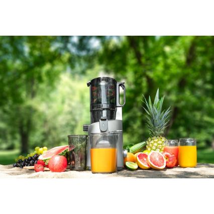 Concept LO7120 - Lėta sulčiaspaudė JUICY 250W/230V pilka