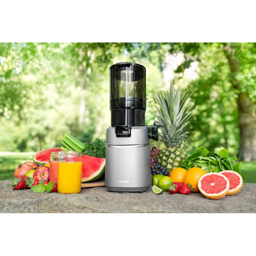 Concept LO7120 - Lėta sulčiaspaudė JUICY 250W/230V pilka