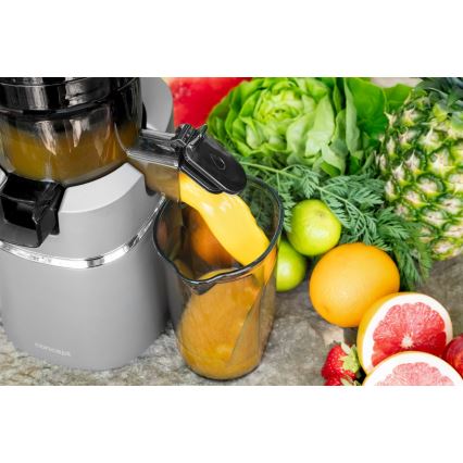 Concept LO7120 - Lėta sulčiaspaudė JUICY 250W/230V pilka