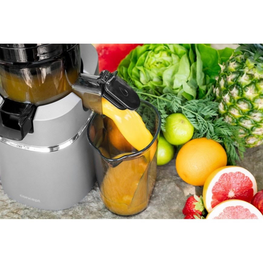 Concept LO7120 - Lėta sulčiaspaudė JUICY 250W/230V pilka