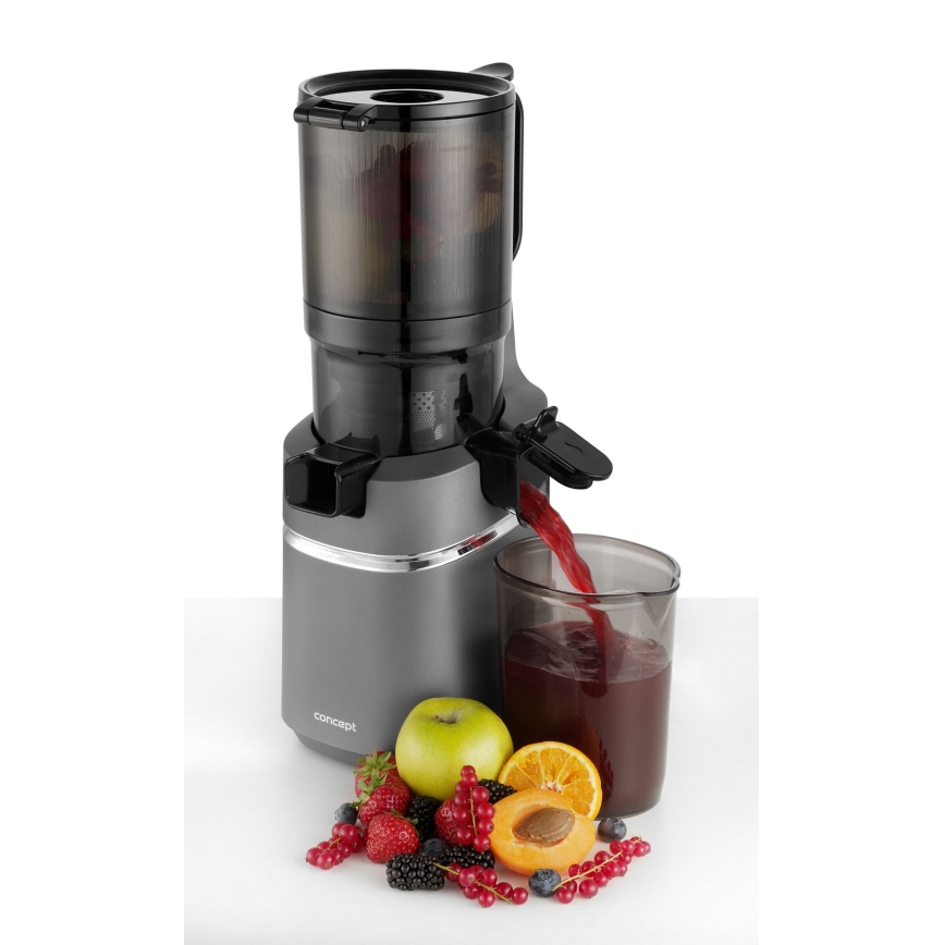 Concept LO7120 - Lėta sulčiaspaudė JUICY 250W/230V pilka