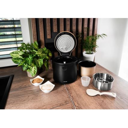 Concept RE4040 - Skaitmeninė 2 viename ryžių viryklė 450 W/230 V 2 l juoda/medžio dekoras