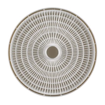 Concept SO3020 - Maisto džiovyklė 500W/230V balta