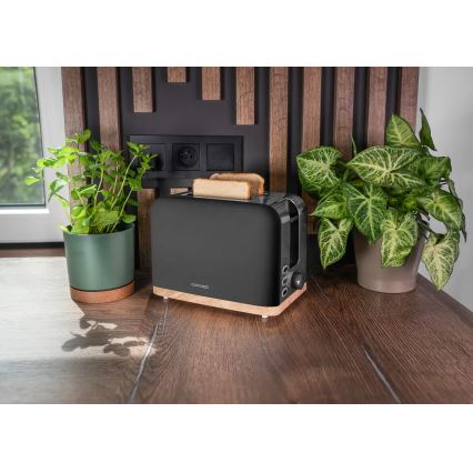 Concept TE2016 - Dvivietis skrudintuvas su kepimo grotelėmis 930W/230V juodas