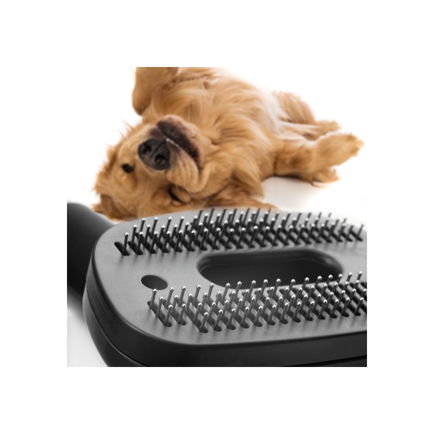 Concept VP5240N - Dulkių siurblys be maišelio 4A RADICAL PET EXPERT 2,5 l 800W/230V bronza