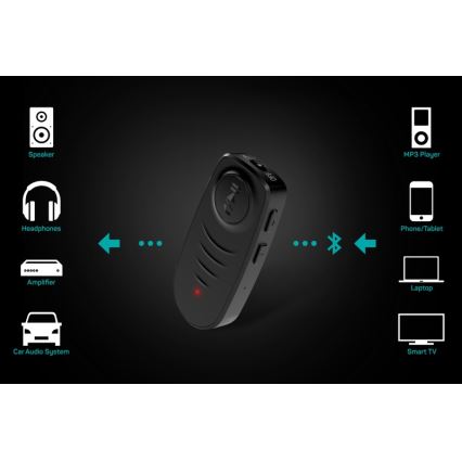 CONNECT IT CFF-4050-BK - Bluetooth audio imtuvas AUX 110 mAh