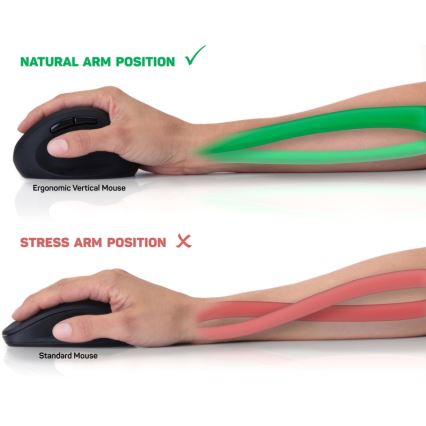 CONNECT IT CMO-2600-BK - Ergonomiška belaidė pelė 800/1200/1600 DPI 1xAA juoda