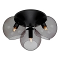 Cottex - Lubų šviestuvas CAPELLA 3xE14/40W/230V, skersmuo 37 cm, dūminis/juodas