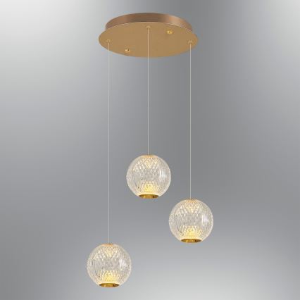 CREMONA LED Pakabinama Lempa 3xLED/5W/230V 3000K Aukso
