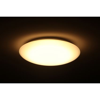 Dalen DL-C205T - Pritemdomas lubinis LED šviestuvas SMART LED LED/25W/230V