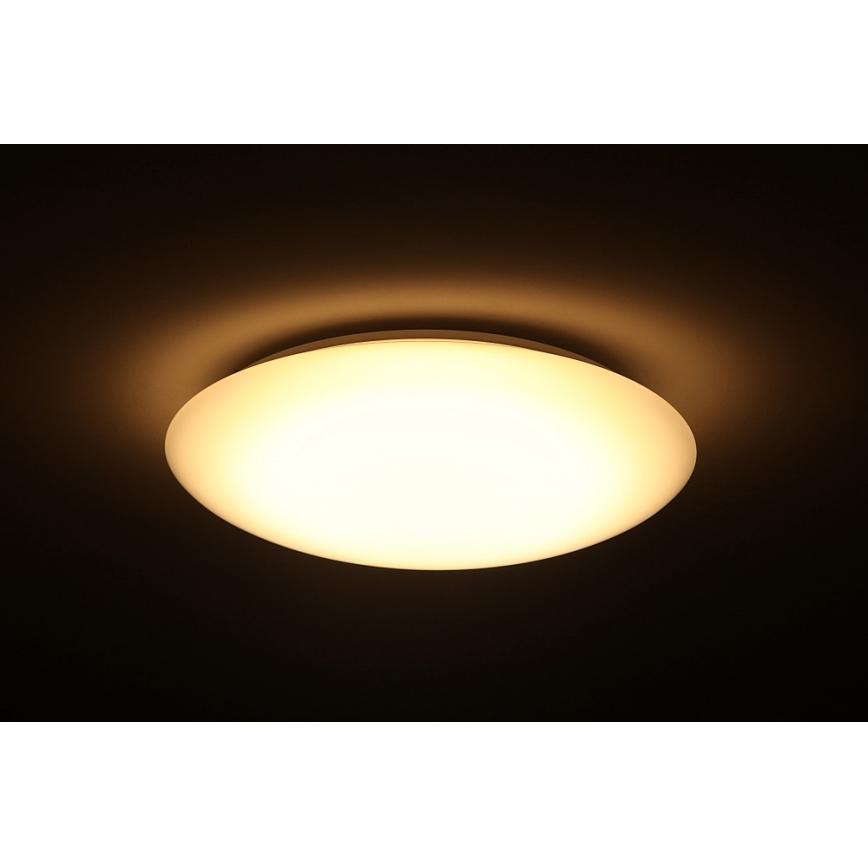 Dalen DL-C205T - Pritemdomas lubinis LED šviestuvas SMART LED LED/25W/230V
