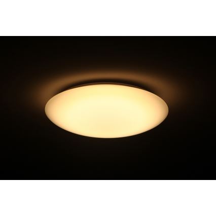 Dalen DL-C205T - Pritemdomas lubinis LED šviestuvas SMART LED LED/25W/230V