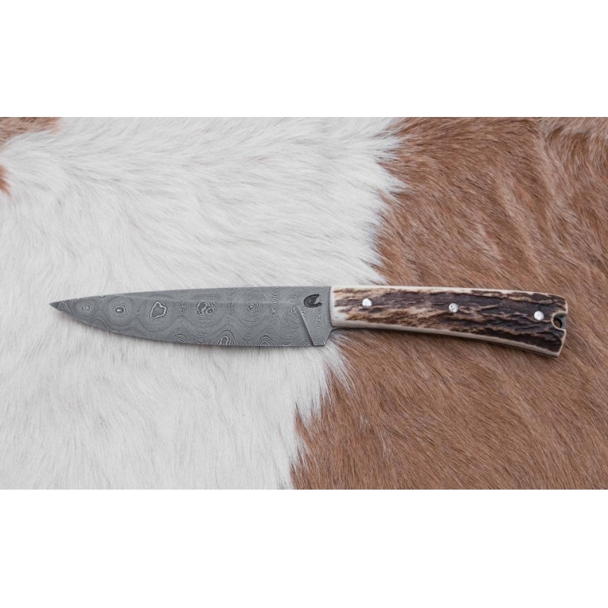 Damasko medžioklės skirstymo peilis su mini pjūklu 12 cm elnio ragas