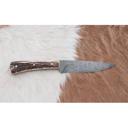 Damasko medžioklės skirstymo peilis su mini pjūklu 12 cm elnio ragas