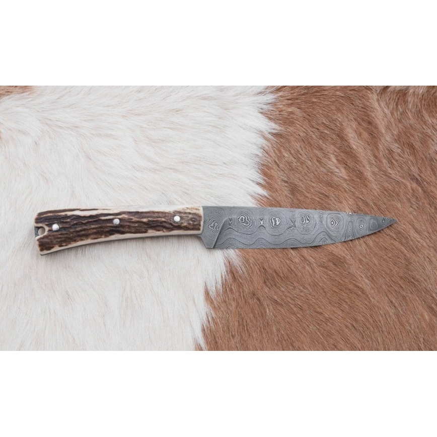 Damasko medžioklės skirstymo peilis su mini pjūklu 12 cm elnio ragas