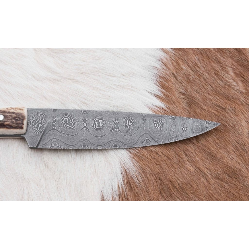 Damasko medžioklės skirstymo peilis su mini pjūklu 12 cm elnio ragas